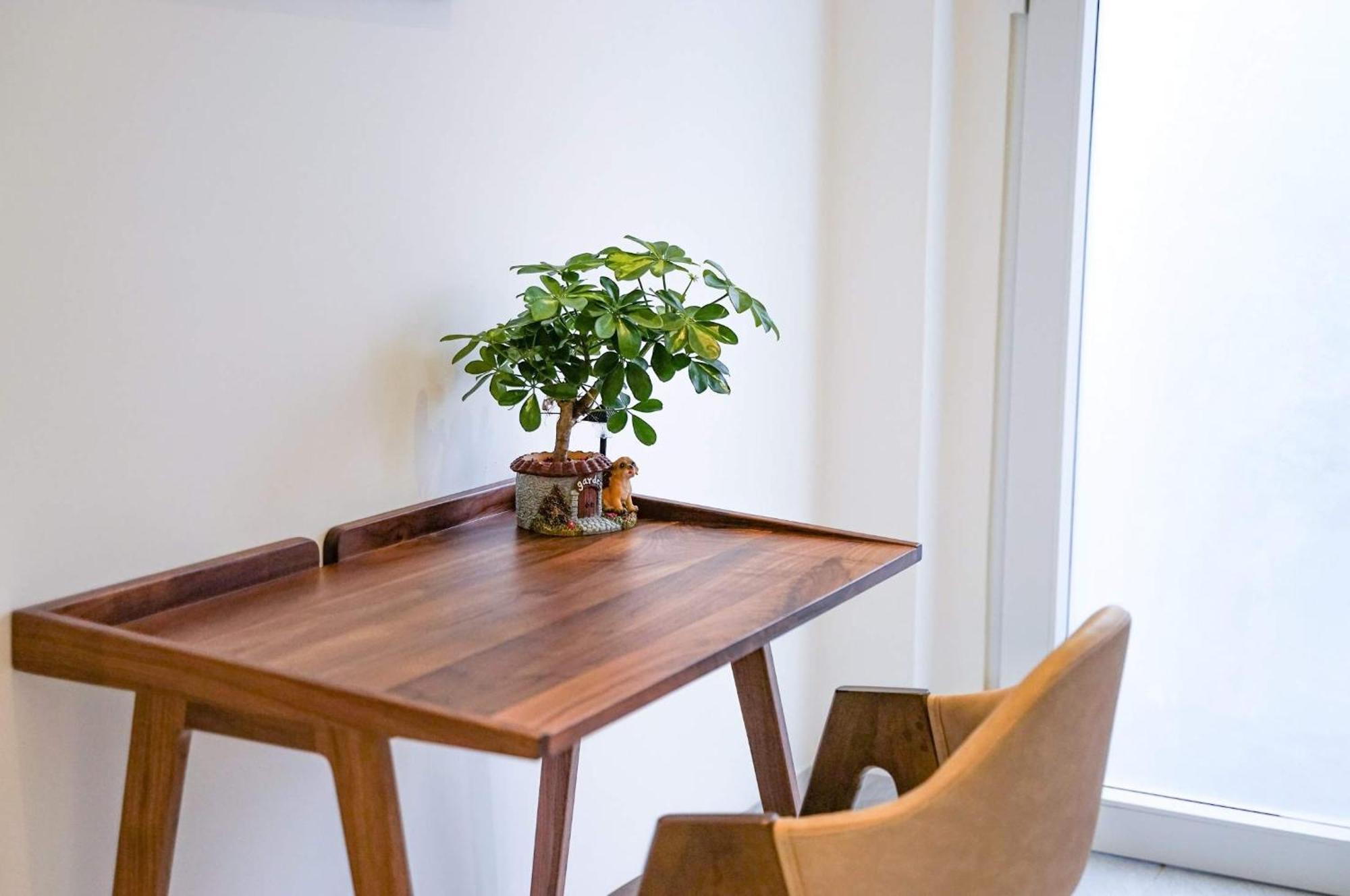 Local White House - Ecofriendly Homestay Da Nang Eksteriør bilde