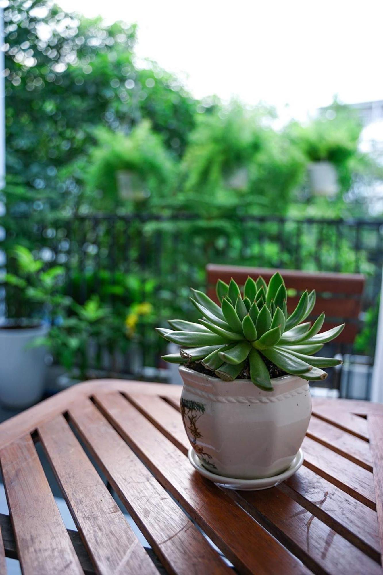 Local White House - Ecofriendly Homestay Da Nang Eksteriør bilde